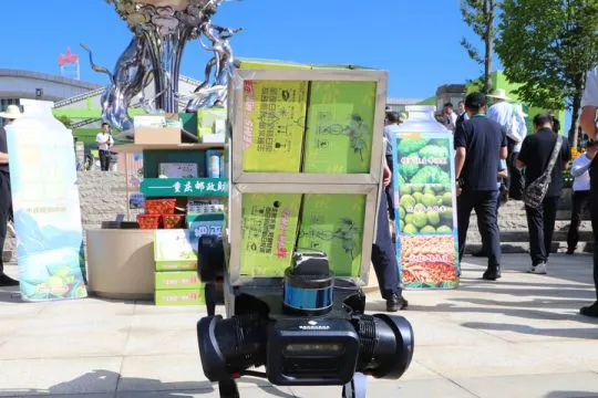 Robot hingga drone jadi kurir pengantar buah plum di Chongqing, China