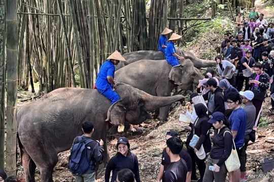 TSI Bogor kenalkan Safari Trek Premium berbasis edukasi-konservasi