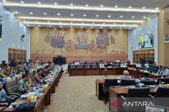 Danantara siap selesaikan 22 program terkait maskapai hingga koperasi