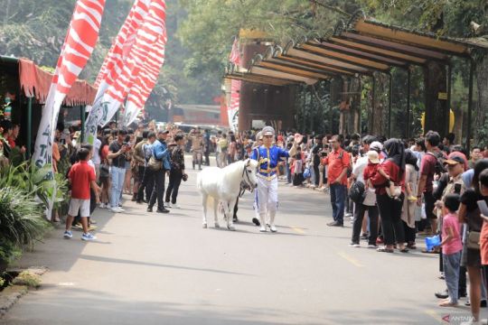 Taman Safari Bogor hadirkan Parade Satwa rayakan HUT ke-80 RI