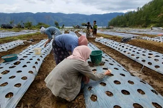 Dinas Pertanian Aceh Tengah edukasi petani berdayakan lahan usai panen