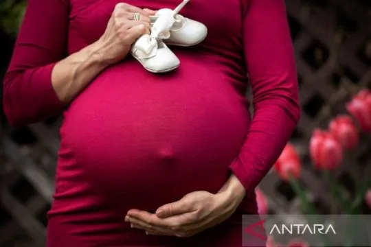 Kesiapan mental yang kurang sebabkan ibu muda rentan