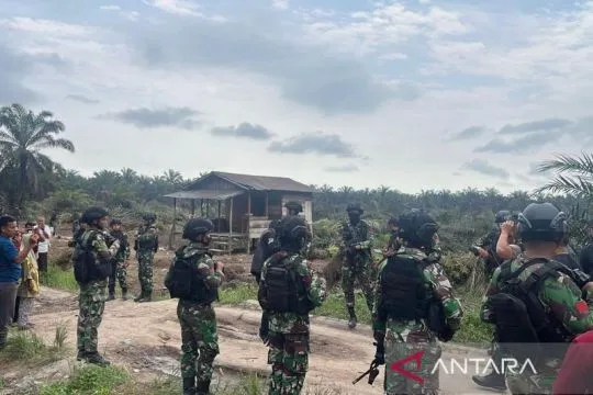 Mencari jalan tengah ruang hidup di Taman Nasional Tesso Nilo