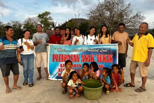 Pokmaswas NTT lepasliarkan 258 tukik untuk pelestarian biota laut