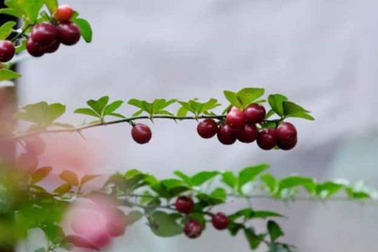 Wisata visual dorong minat Gen Z ke destinasi Bekasi