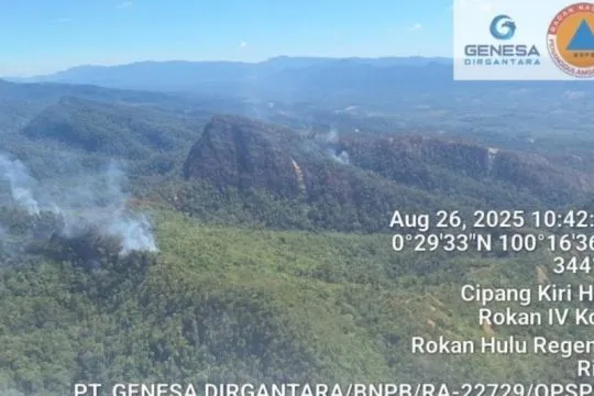 BPBD Riau kerahkan dua helikopter padamkan kathutla di Rokan Hulu
