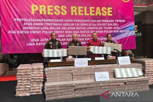 Jaksa terima uang pengganti terpidana Adelin Lis Rp105,85 miliar
