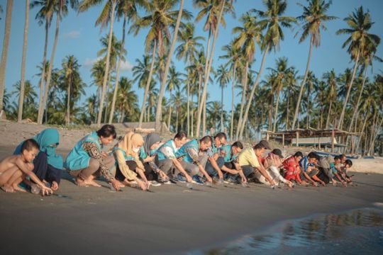 PLN Indonesia Power hadirkan wisata konservasi penyu di Barru Sulsel