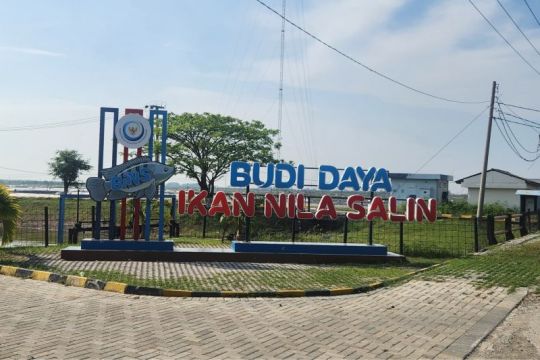 Waskita kerjakan proyek tambak nila salin senilai Rp238 miliar