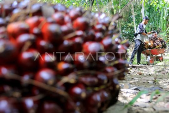 POSCO Korea Selatan akuisisi Sampoerna Agro senilai Rp14,8 triliun