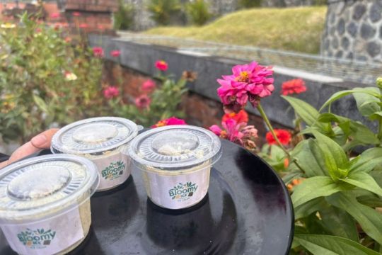 Santriwati PPI AMF buat es krim dari daun kelor untuk cegah stunting