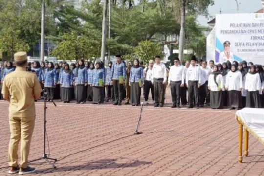 Rekrutmen PPPK BGN 2025 tahap 2 dibuka: link daftar & jadwal lengkap