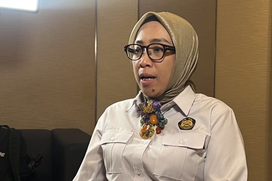 ESDM salurkan 'listrik hijau' untuk 391 ribu kepala keluarga