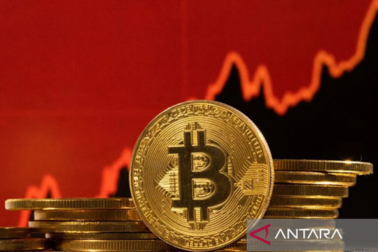 Indodax: BTC tembus 80.000 dolar didorong ETF dan sentimen geopolitik