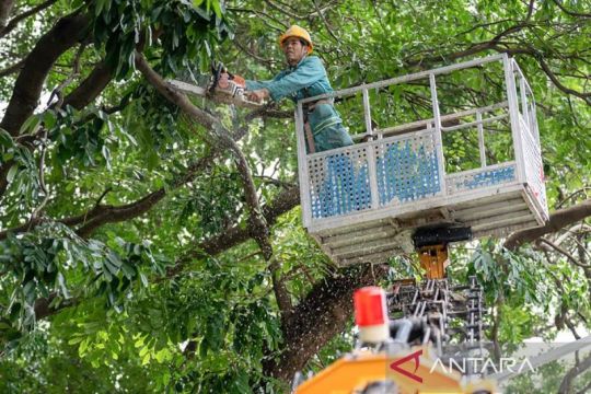 Provinsi Guangdong di China naikkan satus tanggap darurat