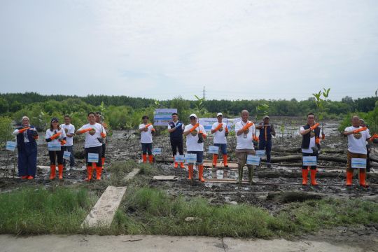 Pelindo Multi Terminal Group Tanam 11.000 Mangrove Bawa Manfaat Bagi Masyarakat