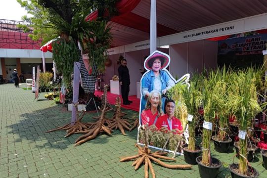PDIP dorong petani berdikari hadapi tantangan pangan nasional