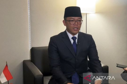 Menlu RI desak BRICSdorong reformasi keuangan global untuk SDGs