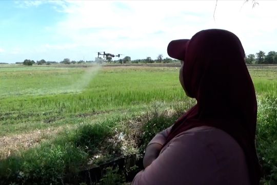 Industri alsintan jalin kemitraan petani demi swasembada pangan