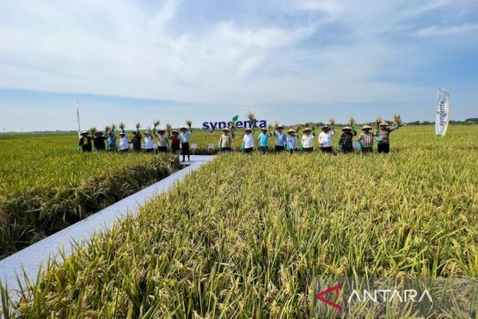 Kemarin, BBM subsidi kapal penumpang hingga kebijakan harga gabah