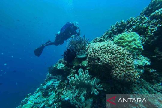 Simak lagi warta soal rujukan tempat menyelam, kompetisi inovasi drone