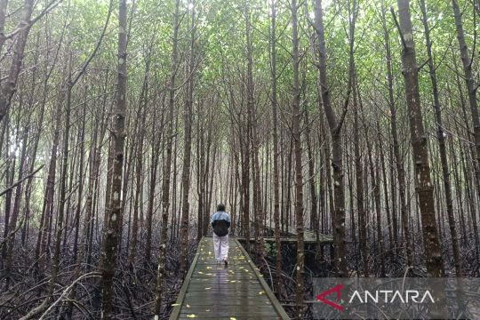 Survei Rimba: Gen Z merasa pelestarian alam itu kepentingan nasional