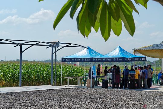 Risiko resistensi hama jadi pembahasan ahli inovasi pertanian nasional