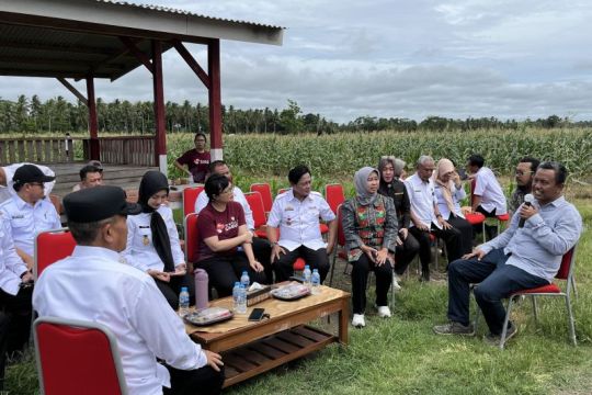 Wamendiktisaintek sebut sekolah garuda akses pendidikan berkualitas