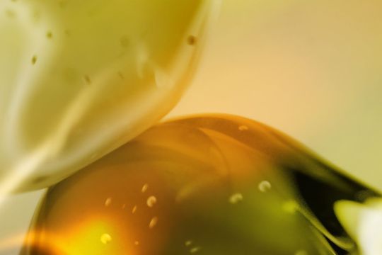 Eurofragance Perkenalkan Olivante®, Bahan Inovatif Terbaru untuk Parfum Premium