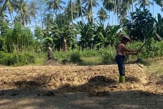Petani di Sulbar harap pengawasan harga pupuk bersubsidi diperketat