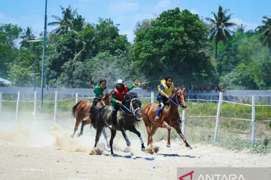 PP Pordasi berharap tradisi pacuan kuda di NTT terus dilestarikan