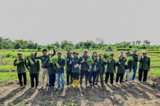 Inovasi di Tengah Kemarau, Pertamina Tanam Harapan Bersama Petani Desa Sobokerto