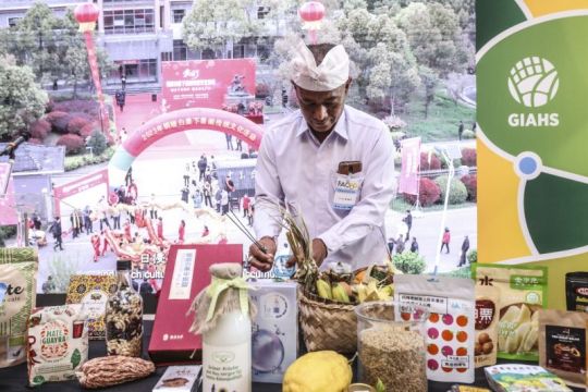 Indonesia terima penghargaan FAO atas sistem agroforestri salak Bali