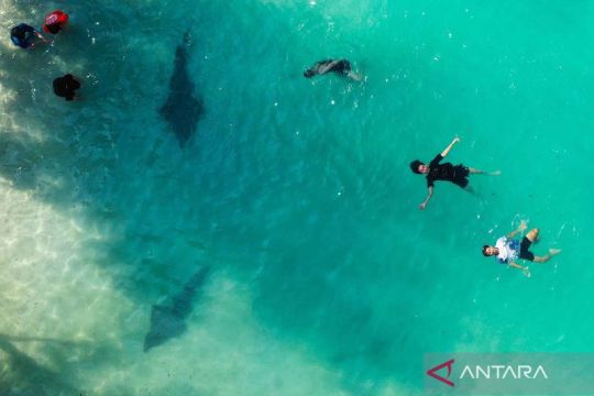 Media sosial menjadi referensi utama mencari informasi liburan