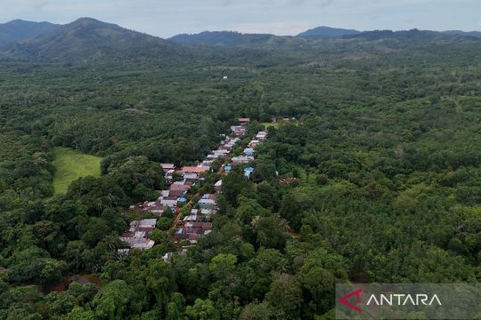 Gerbang hijau Geopark Meratus dari Desa Belangian