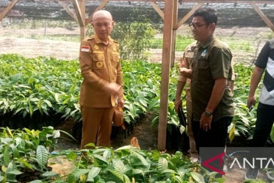 Pemkab Pohuwato dukung Program Kakao Burung Indonesia