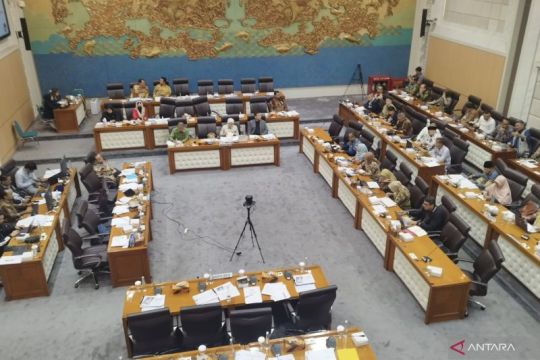 Komisi VII minta Perkosmi "kejar" kosmetik ilegal lindungi produk lokal