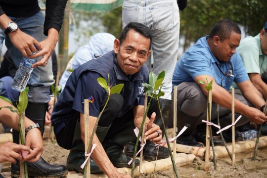 Bio Farma gelar TJSL dengan tanam 5.000 mangrove di Karawang