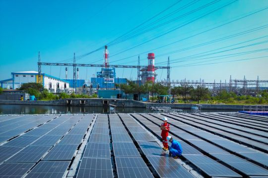 PLN Indonesia Power Perkuat Transisi Energi Lewat Digitalisasi Biomassa: Marketplace Dorong Ekonomi Lokal dan Keandalan Listrik