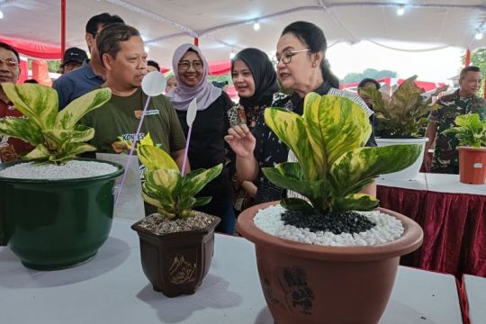 Ratusan kolektor tanaman hias ikuti kontes di Semarang