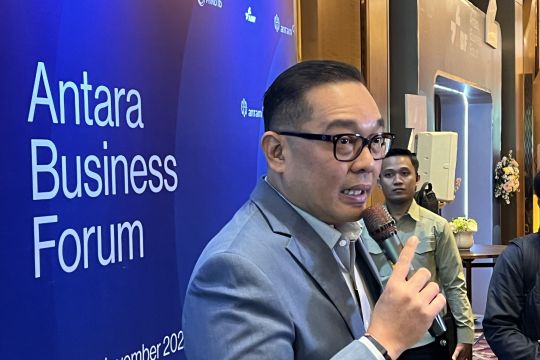 Wamen Investasi bidik lokasi proyek DME di dekat PT Bukit Asam