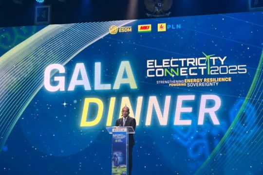 Pemerintah tekankan pengembangan ekosistem kelistrikan berbasis EBT