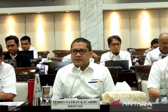 Pemerintah tambah penempatan dana Rp76 triliun ke perbankan