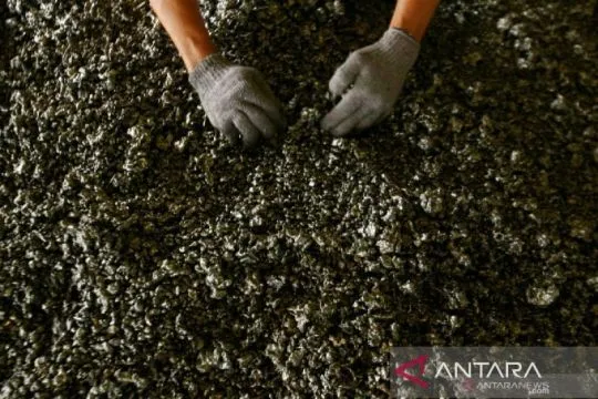 Mitigasi ancaman krisis di hulu saat hilirisasi nikel