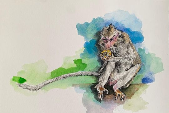 Monyet dalam cat air, duka pandemi gugah empati