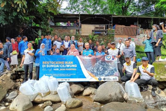 KKP lepas 15 ribu benih ikan ke Sungai Ciliwung demi jaga populasi