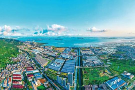 Hasil Berlimpah dari Proyek &ldquo;Dua Negara, Dua Taman&rdquo;, Bunga Persahabatan yang Mekar