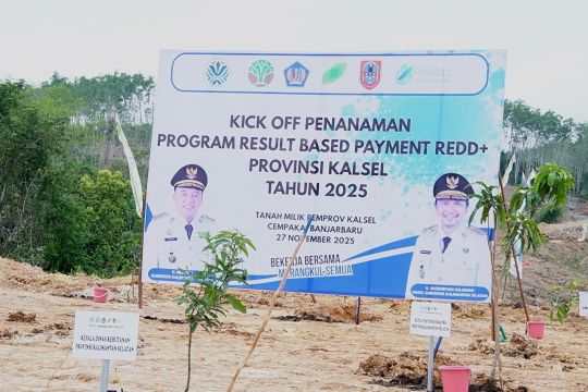 Kalsel mulai langkah rehabilitasi hutan lewat penanaman kembali