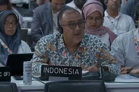 COP30, Indonesia belum sejalan dengan prinsip Belem Gender Action Plan