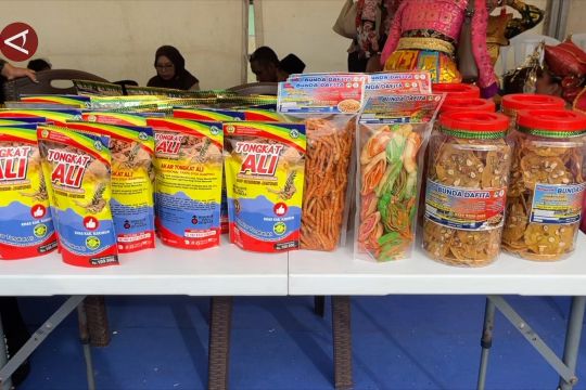 Wamen Helvi minta BP Batam berdayakan aset yang dikelola untuk UMKM